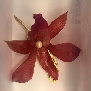 Pink real flower (preserved) hair clip